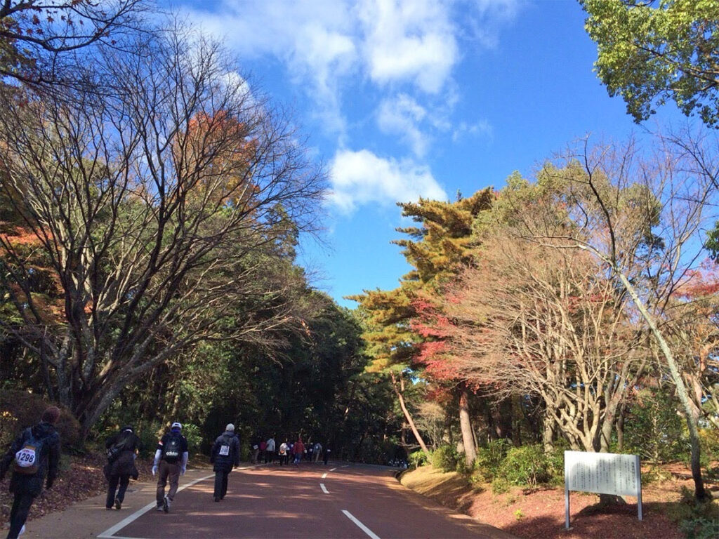 12月6日（土）7日(日)中日三重お伊勢さんマラソン 交通規制のご案内
