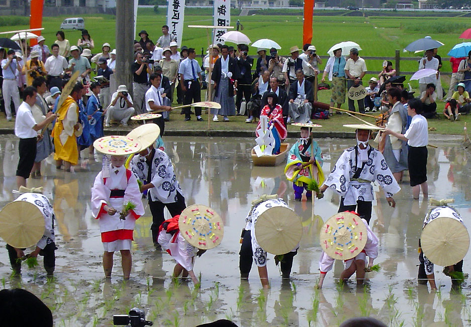 6月24日（火） 志摩 伊雑宮御田植祭